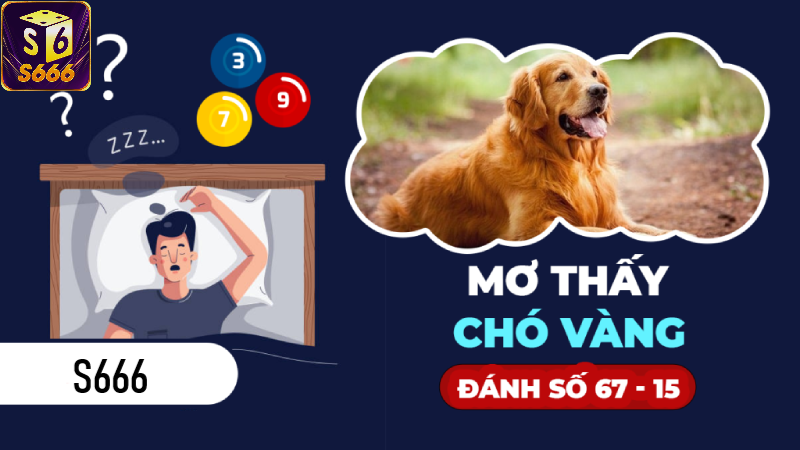 Phân tích giấc mơ thấy chó đen theo từng trường hợp cụ thể