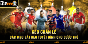 Chiến lược quản lý vốn khi chơi kèo chẵn lẻ