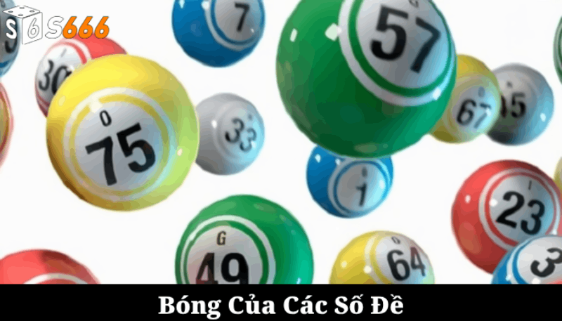 Tìm Hiểu Về Bóng Của Các Số Đề