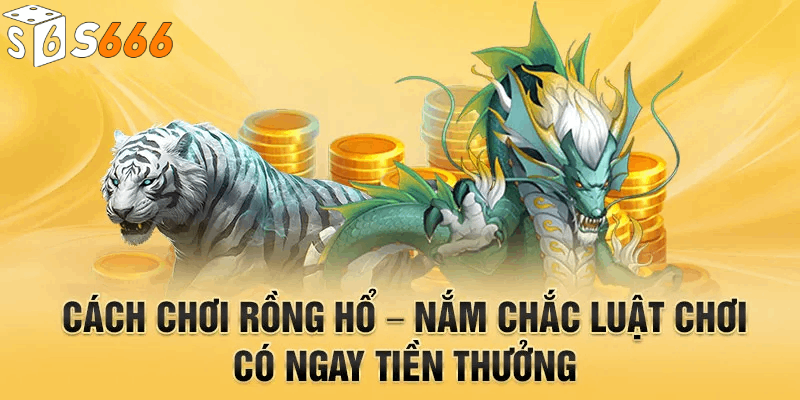 Tóm tắt nội dung luật chơi rồng hổ